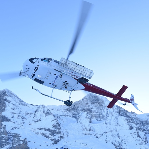Bon cadeau - Vol d'initiation Ecureuil H125