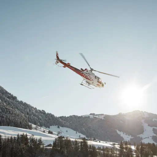Geschenkgutschein Rundflug (45 Minuten)